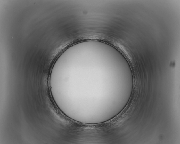 X0000090930394200707301119