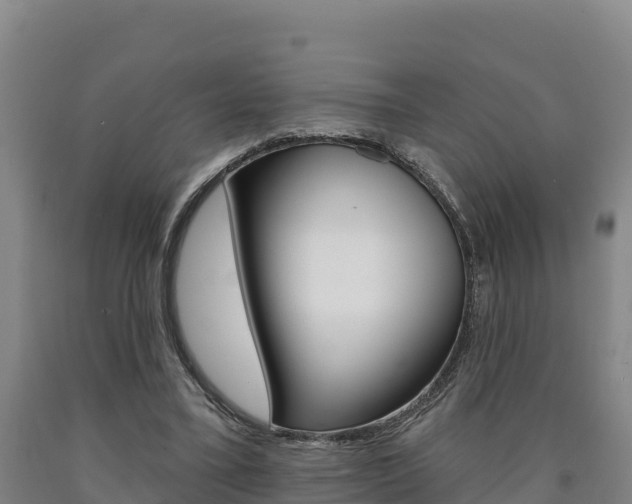 X0000090930395200707301119