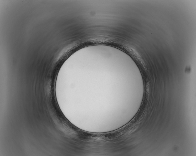 X0000090930396200707301119