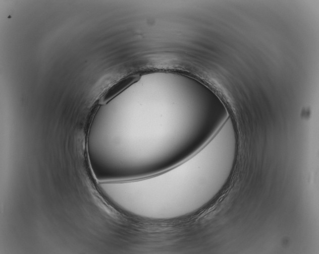 X0000090930397200707301119
