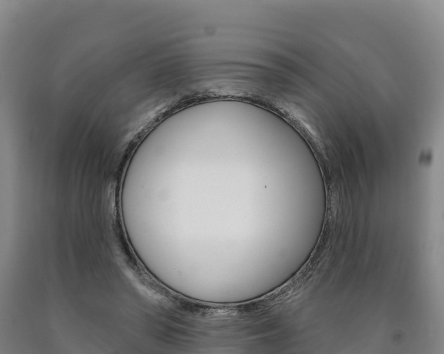 X0000090930398200707301119