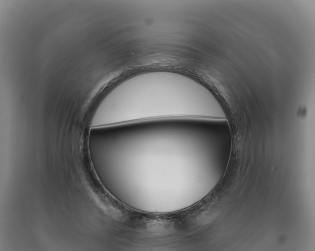 X0000090930400200707301119