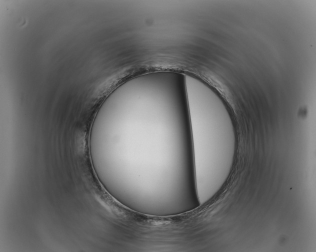 X0000090930401200707301119