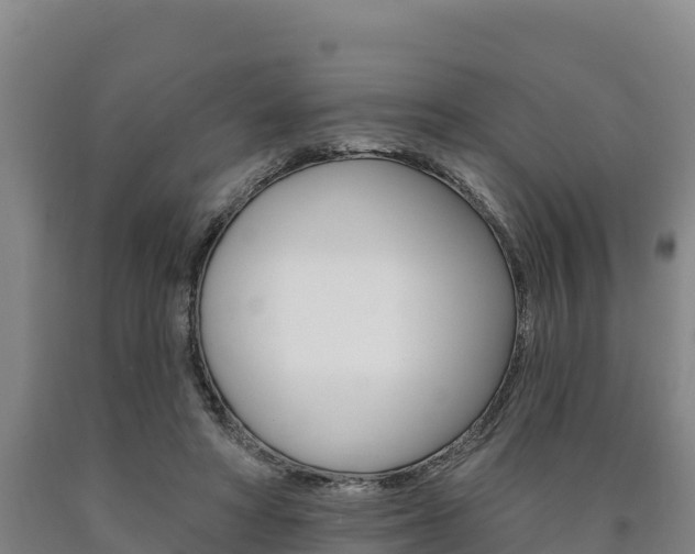 X0000090930402200707301119