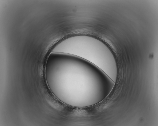 X0000090930403200707301119