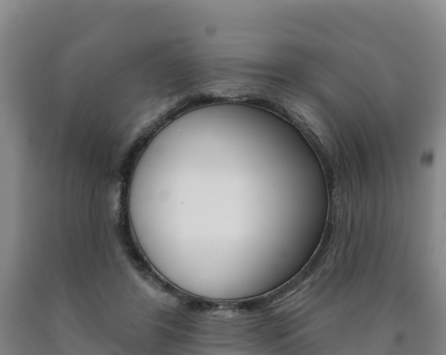 X0000090930404200707301119