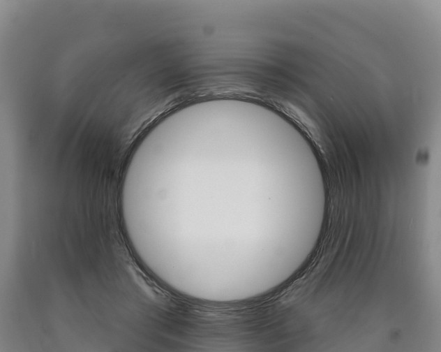 X0000090930405200707301119