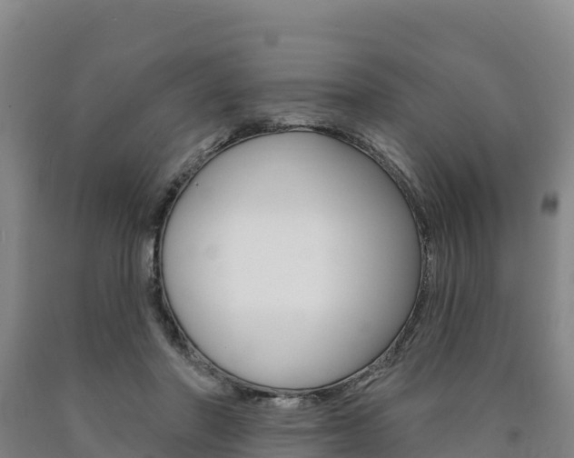 X0000090930406200707301119