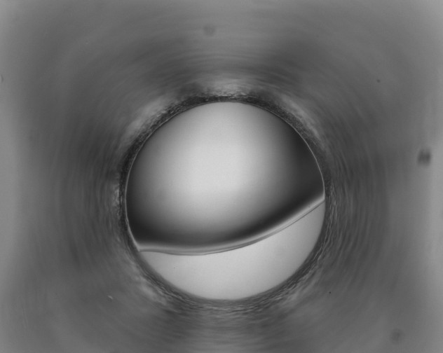 X0000090930407200707301119