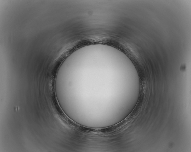 X0000090930408200707301119