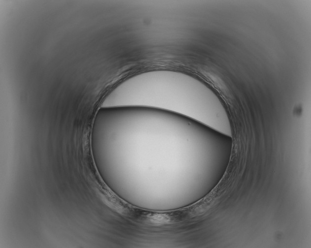 X0000090930409200707301119