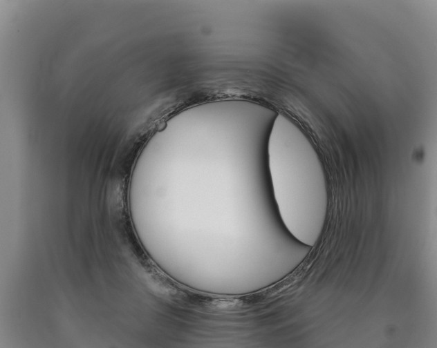 X0000090930410200707301119