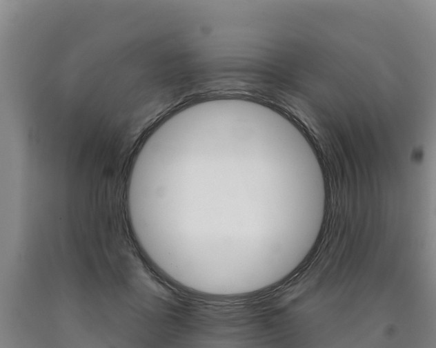 X0000090930411200707301119