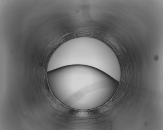 X0000090930413200707301119