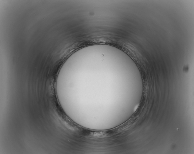 X0000090930414200707301119