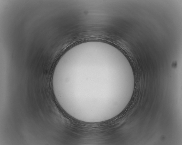 X0000090930415200707301119