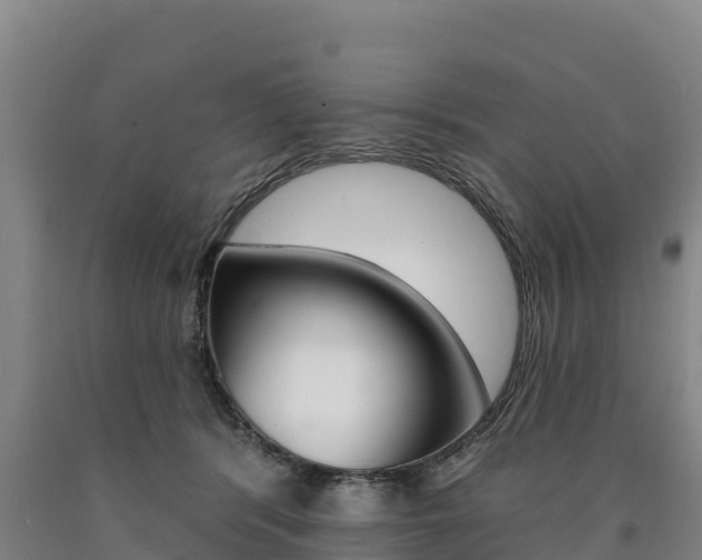X0000090930416200707301119