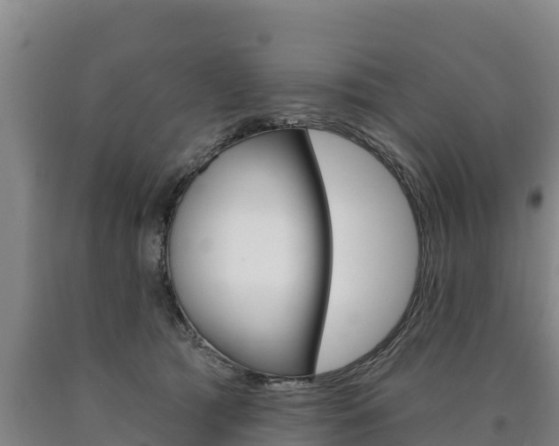 X0000090930417200707301119