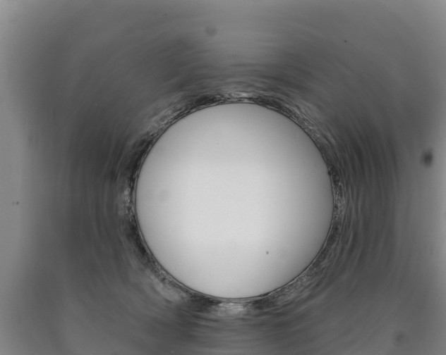 X0000090930418200707301119