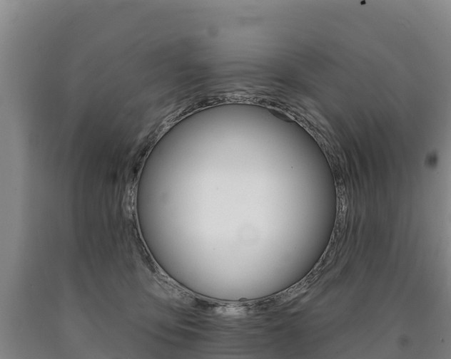 X0000090930419200707301119