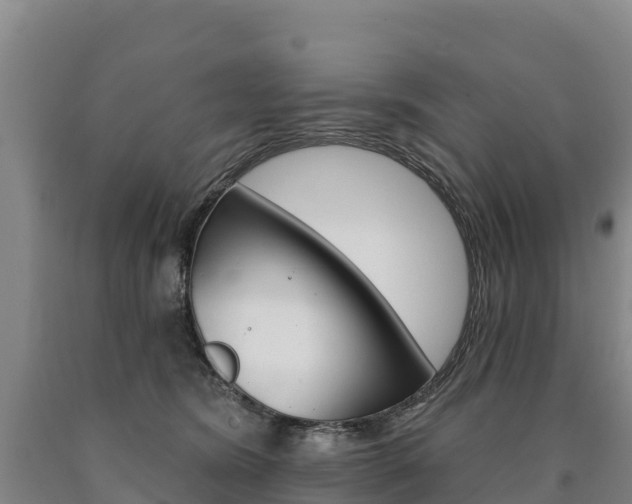 X0000090930420200707301119