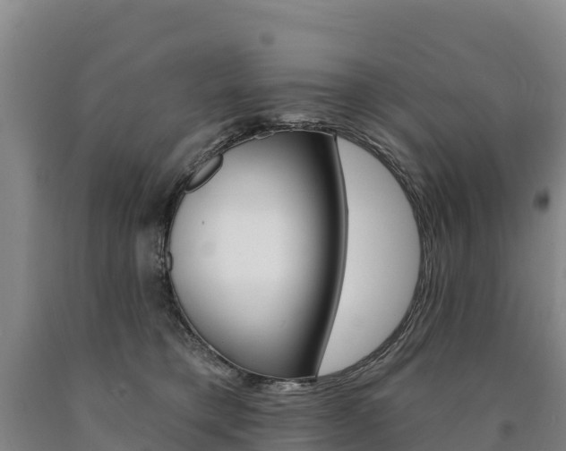 X0000090930421200707301119