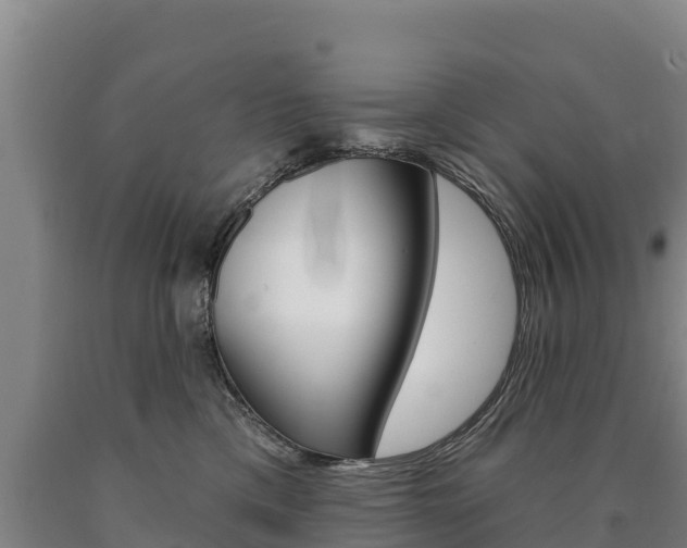 X0000090930425200707301119
