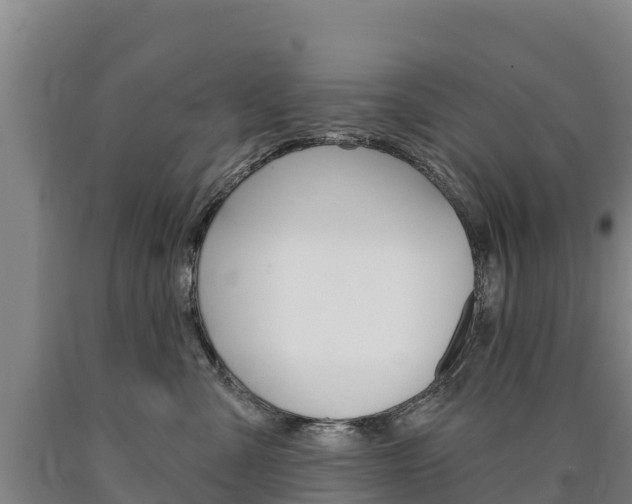 X0000090930427200707301119