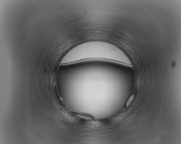 X0000090930428200707301119