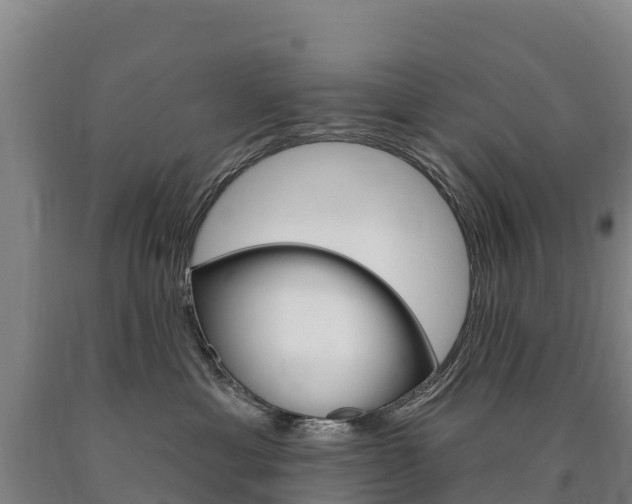 X0000090930429200707301119