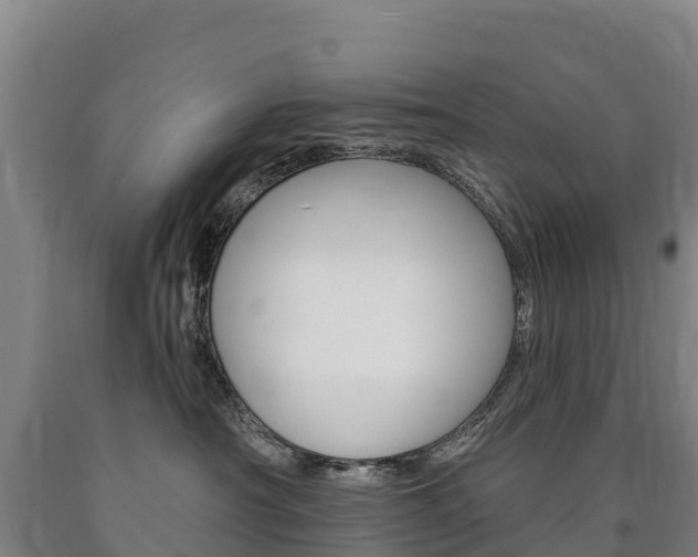 X0000090930430200707301118