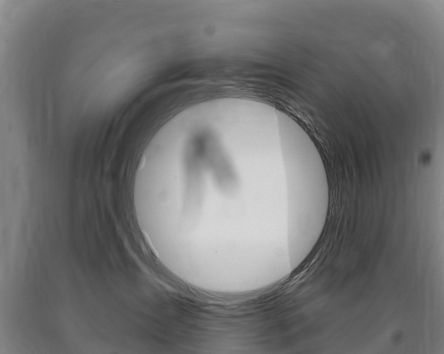 X0000090930431200707301118
