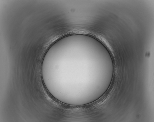 X0000090930433200707301118