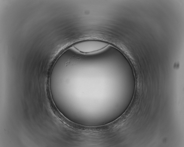 X0000090930434200707301118
