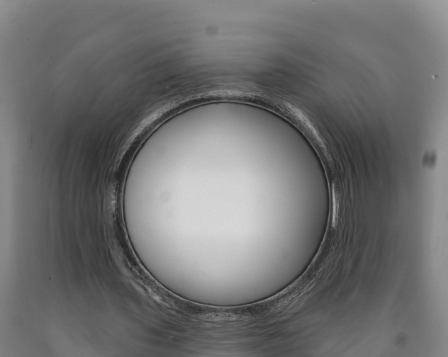 X0000090930435200707301118