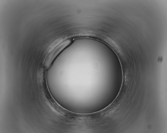 X0000090930436200707301118