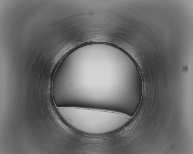 X0000090930437200707301118