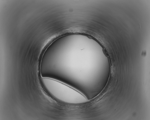 X0000090930438200707301118