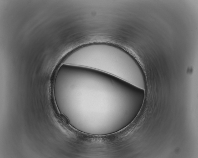 X0000090930439200707301118