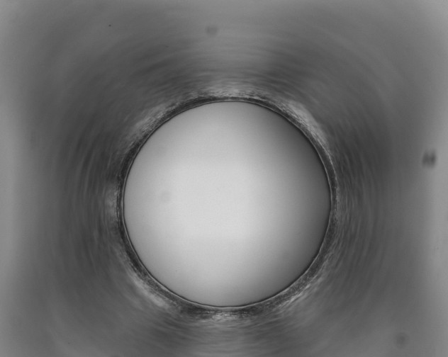 X0000090930441200707301118