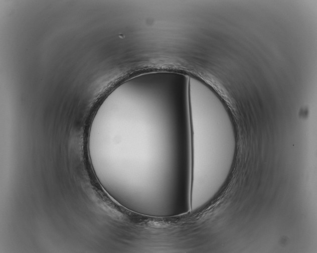X0000090930442200707301118