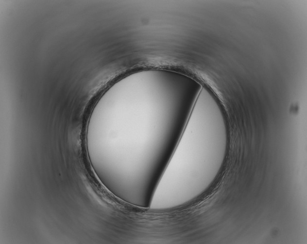 X0000090930443200707301118