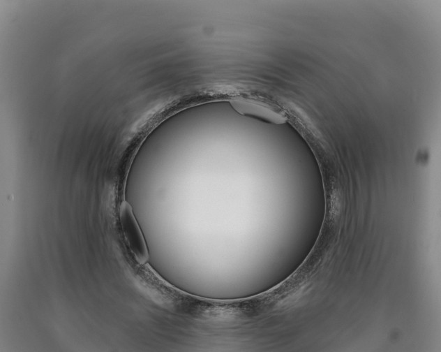 X0000090930444200707301118