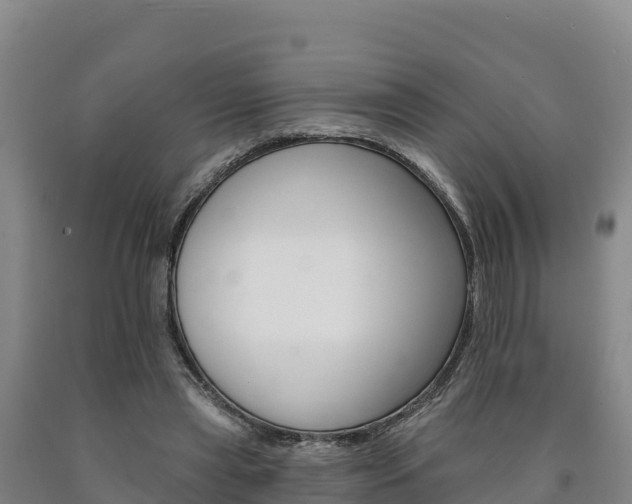 X0000090930445200707301118