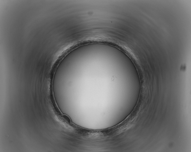 X0000090930446200707301118