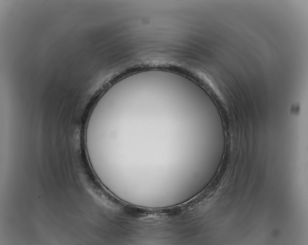 X0000090930447200707301118