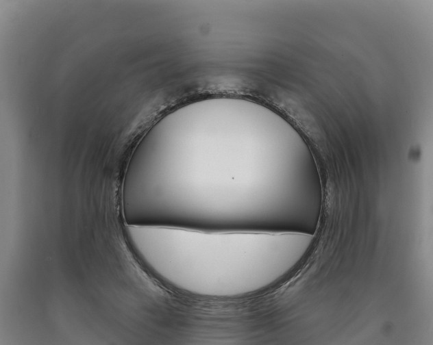 X0000090930449200707301118