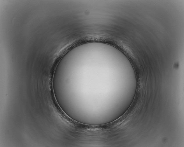 X0000090930450200707301118