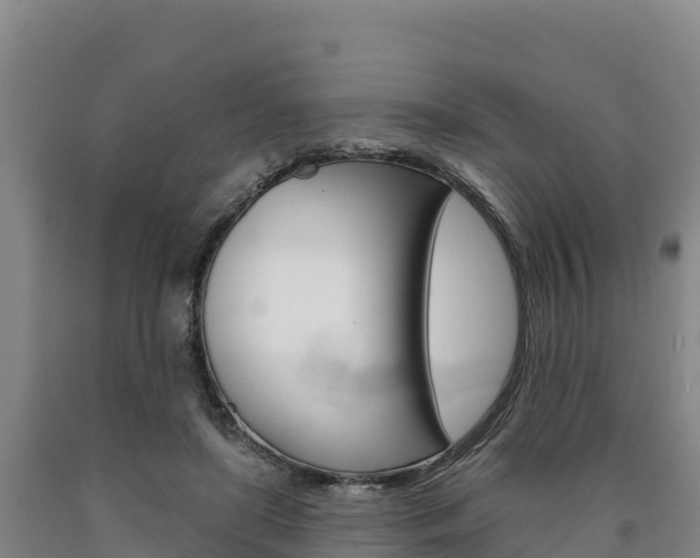 X0000090930451200707301118