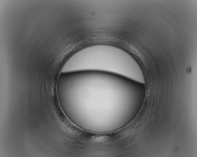 X0000090930452200707301118
